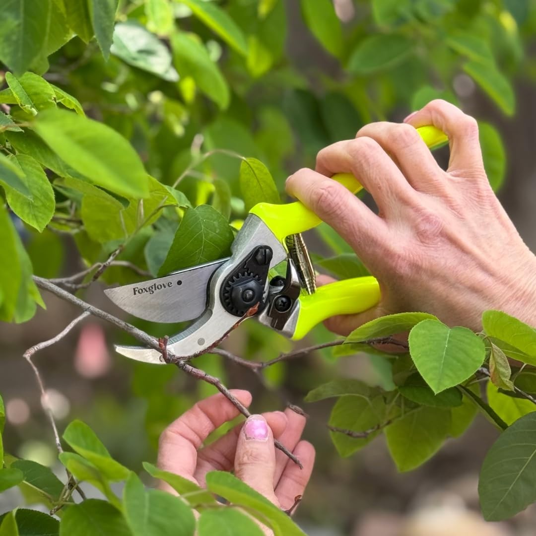 Foxglove Pruning Shears – Professional Garden & Bypass Hand Grey
