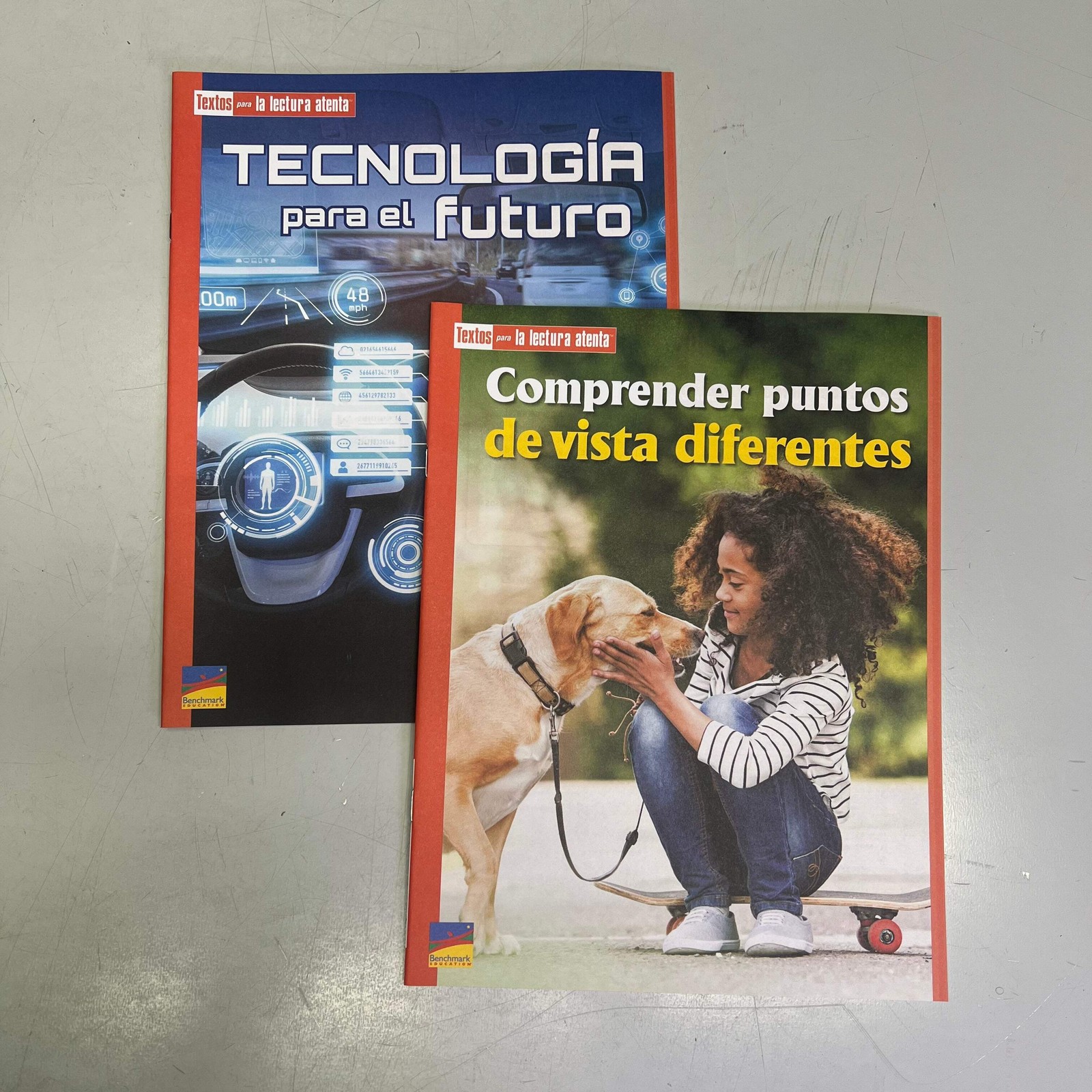 BENCHMARK EDUCATION (10 SET) Multiple Learning Point Books Grade 4 Spanish Editi
