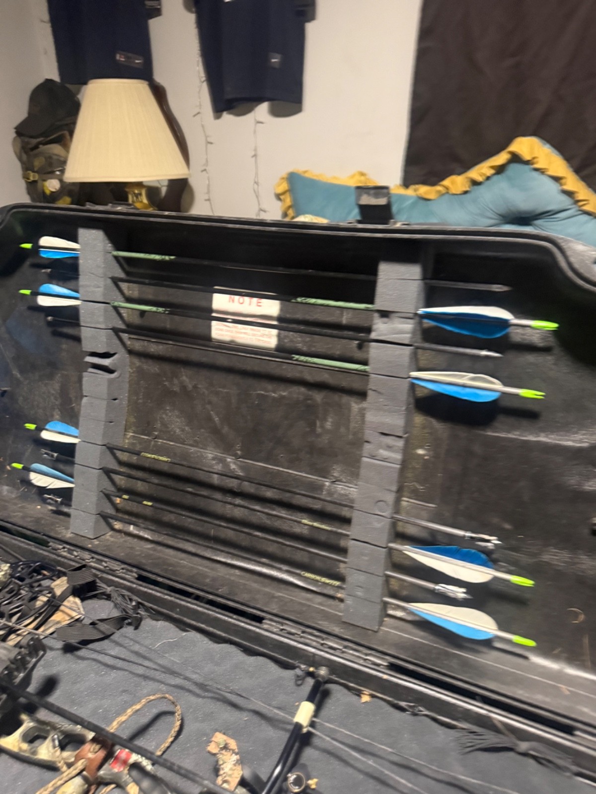 compound bows for hunting