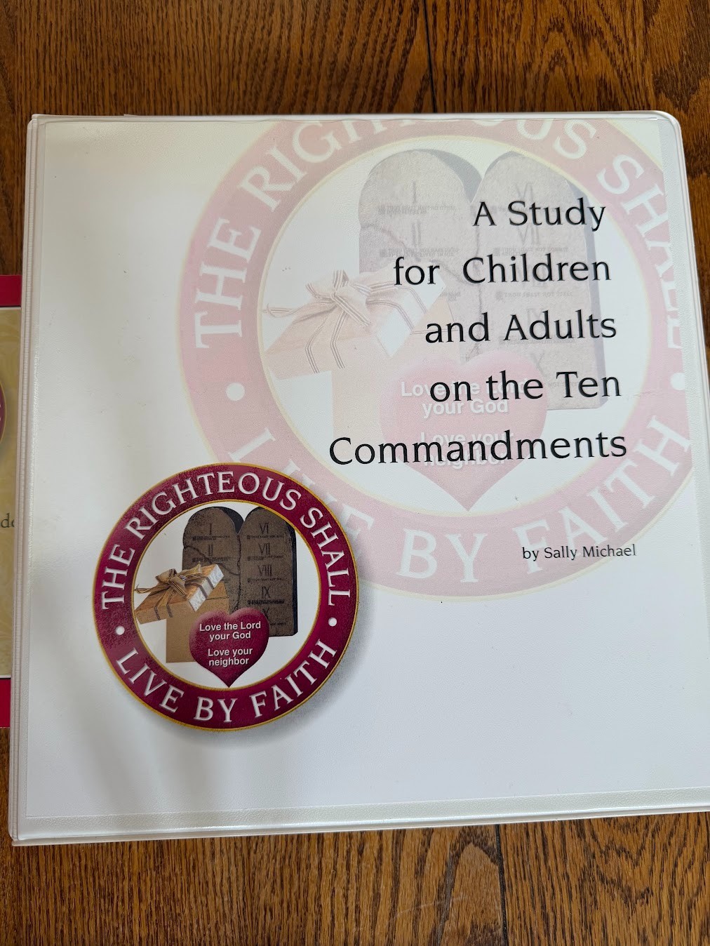 Bible Study for Children & Adults on the 10 Commandments - Sally Michael