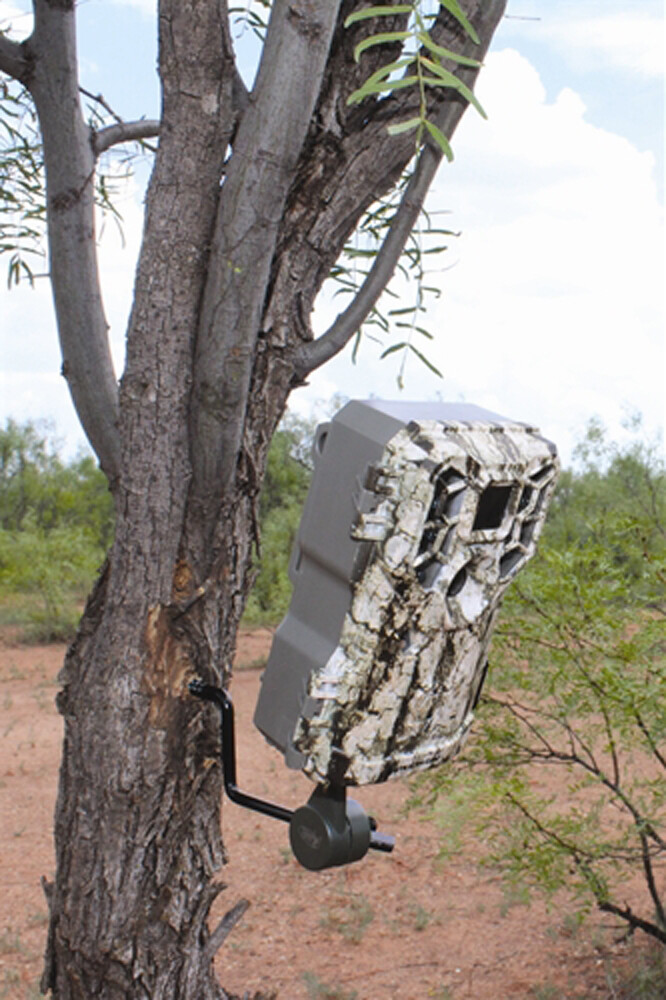 HME Products Economy Trail Camera Holder 4-Pack: Mounts Any Trail Cams to Trees