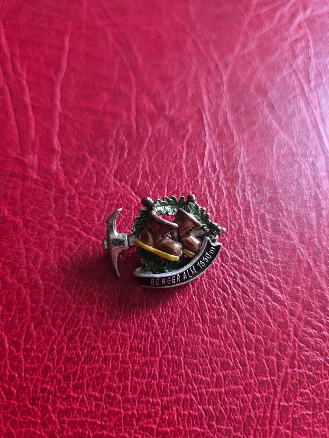 Vintage Pin Hatpin Hiking Pin Brooch Berger Alm 1650m