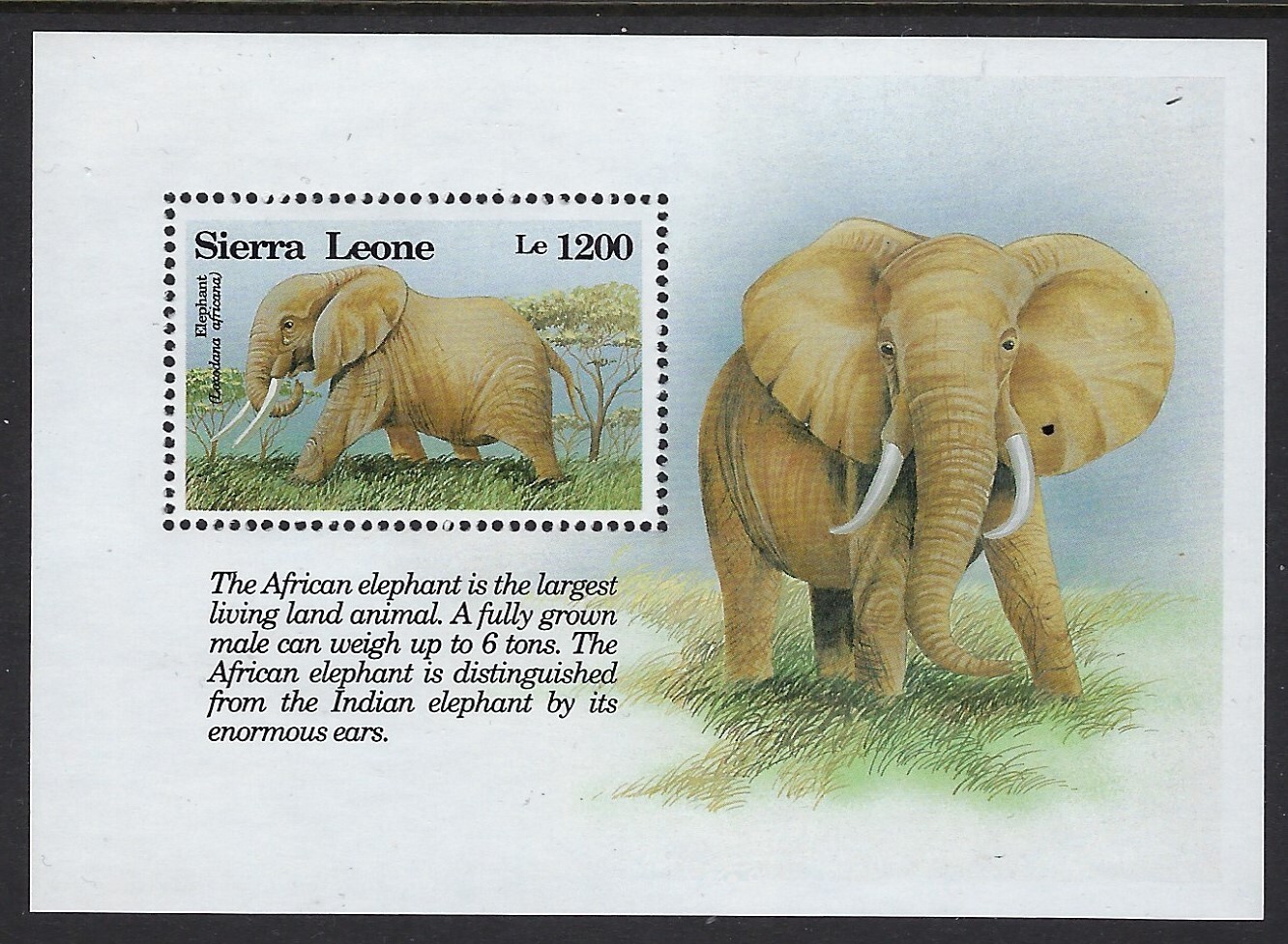 Sierra Leone - MNH Souvenir sheet Elephant   ..............34L..... SS-122