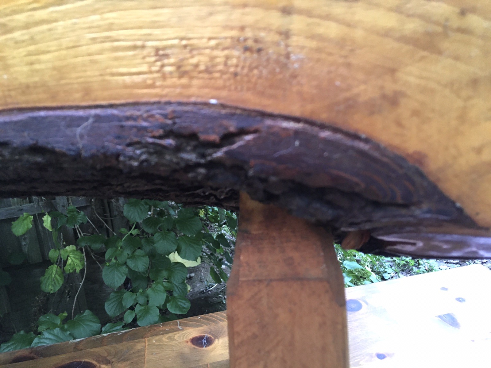 Vintage Handmade Primitive Wooden Log Bench Coffee Table w Bark Underside