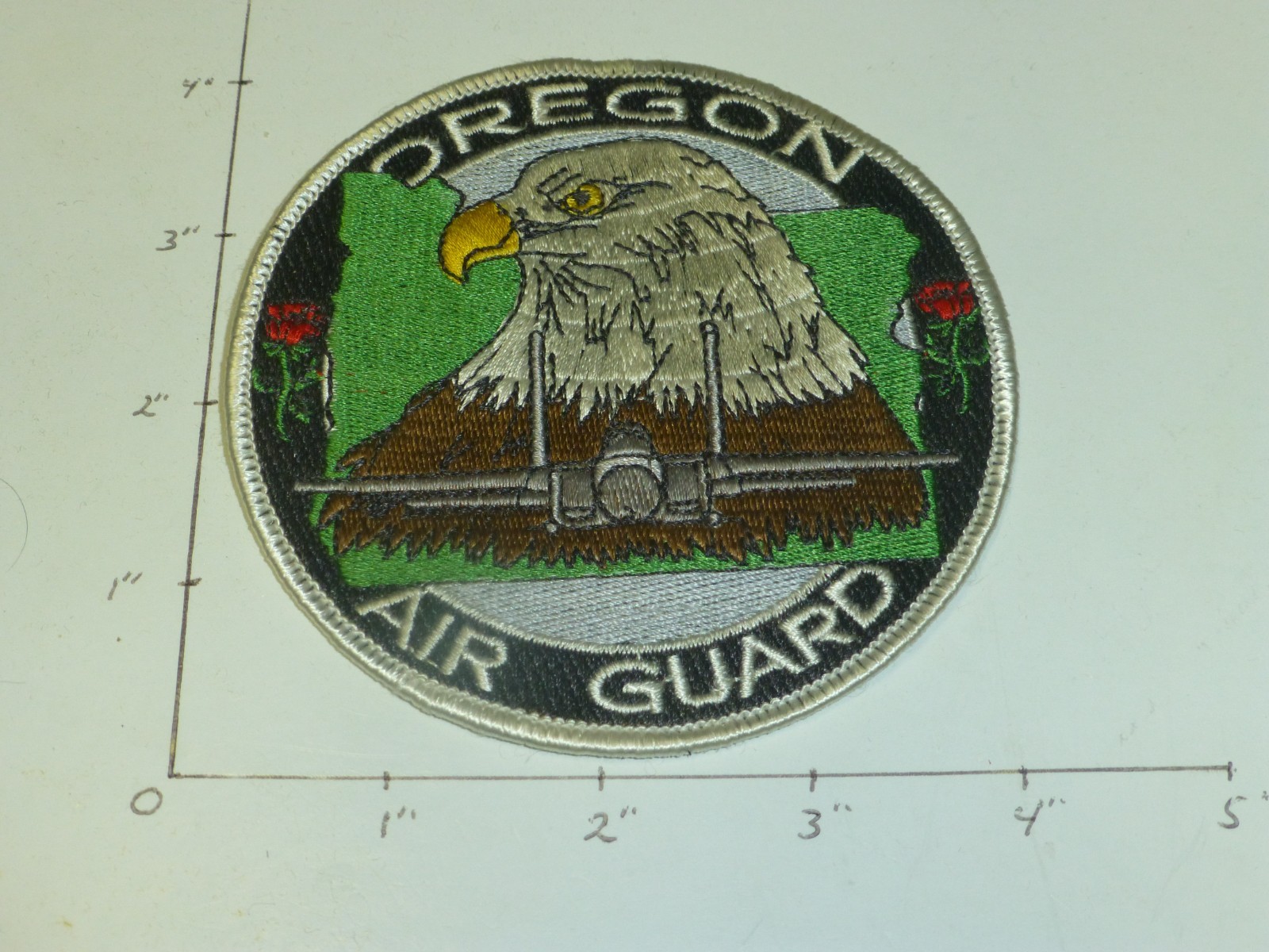 173 Fighter Wing Oregon Air National Guard F 15 color patch