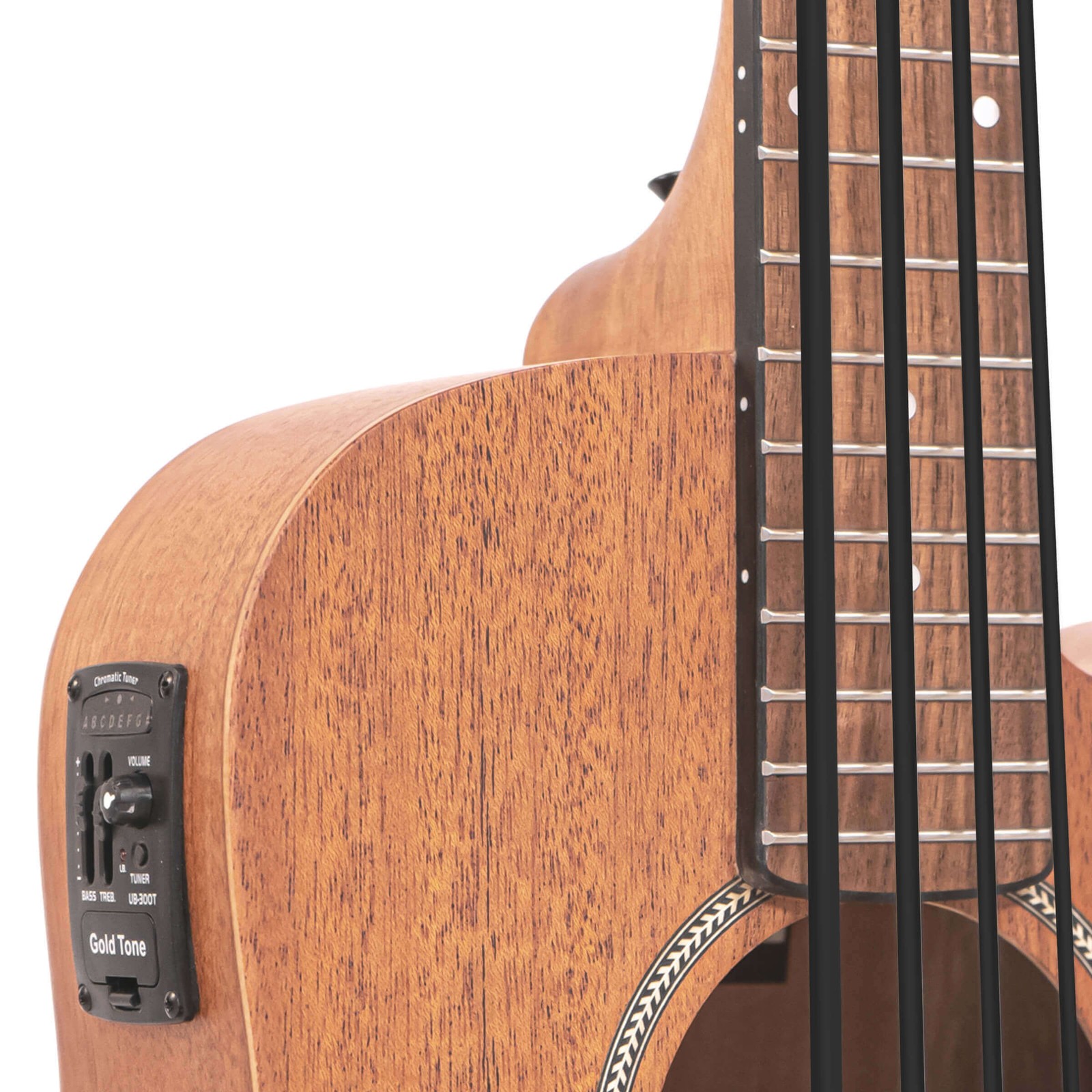 Gold Tone M-Bass25FL | New | Authorized Dealer