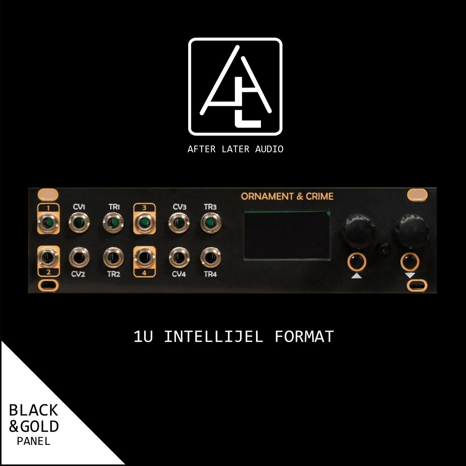 AFTER LATER AUDIO uO_C ORNAMENT AND CRIME 1U : NEW : [DETROIT MODULAR]