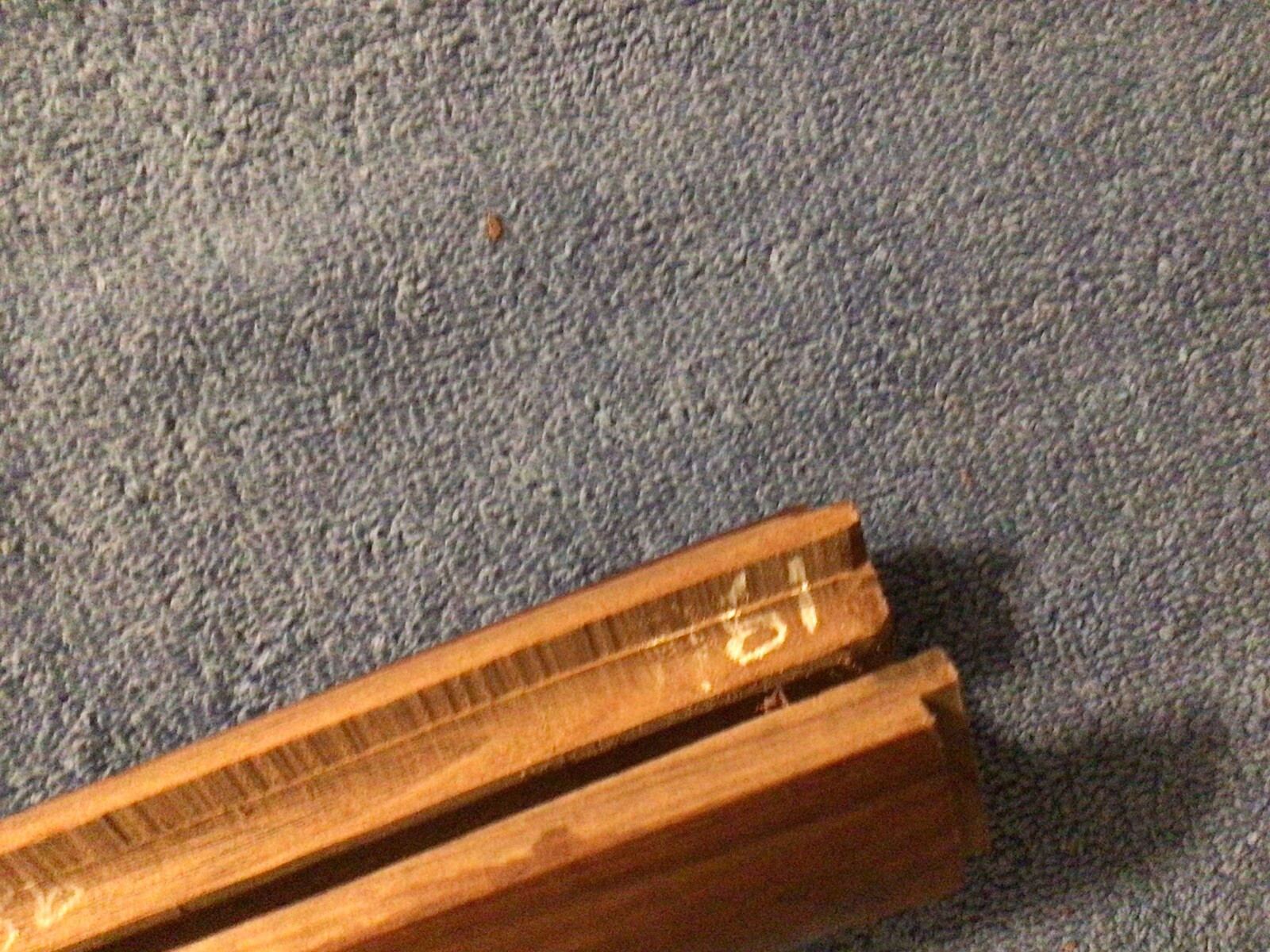 Winchester 1886 Rifle Forend Walnut Repro