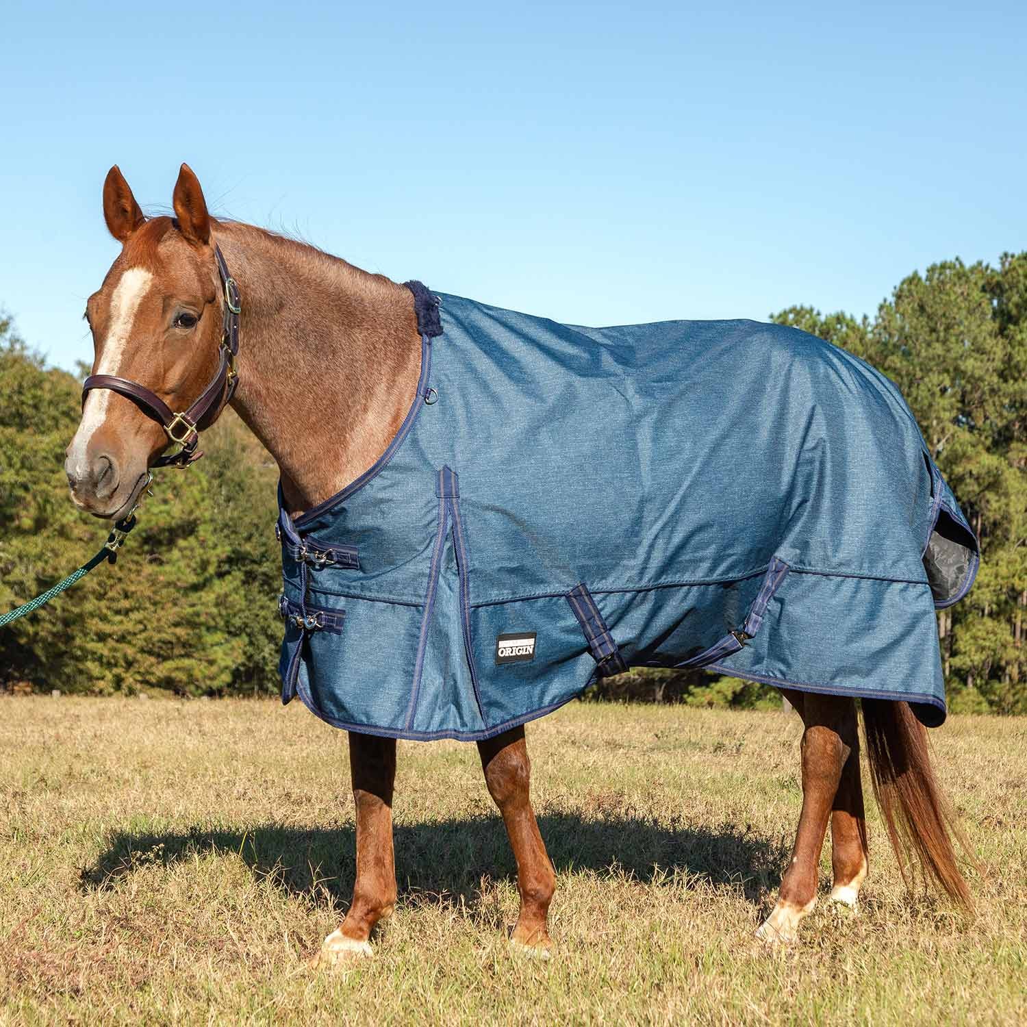 Poplar Head Origin 600 Denier Turnout Blanket, 240 Gram, Blue Jean Baby