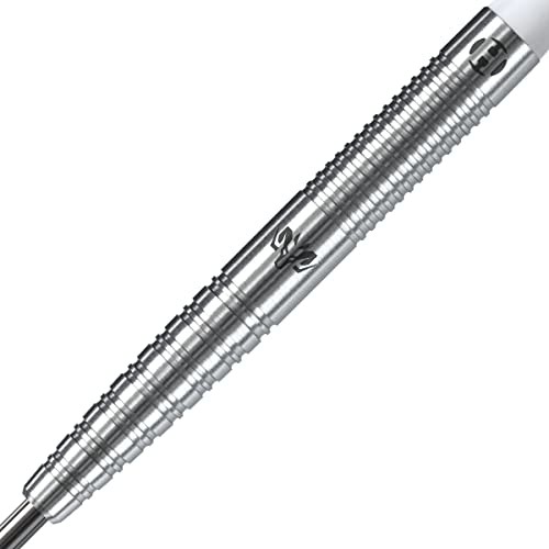 Wolfram Dart Set 24gm