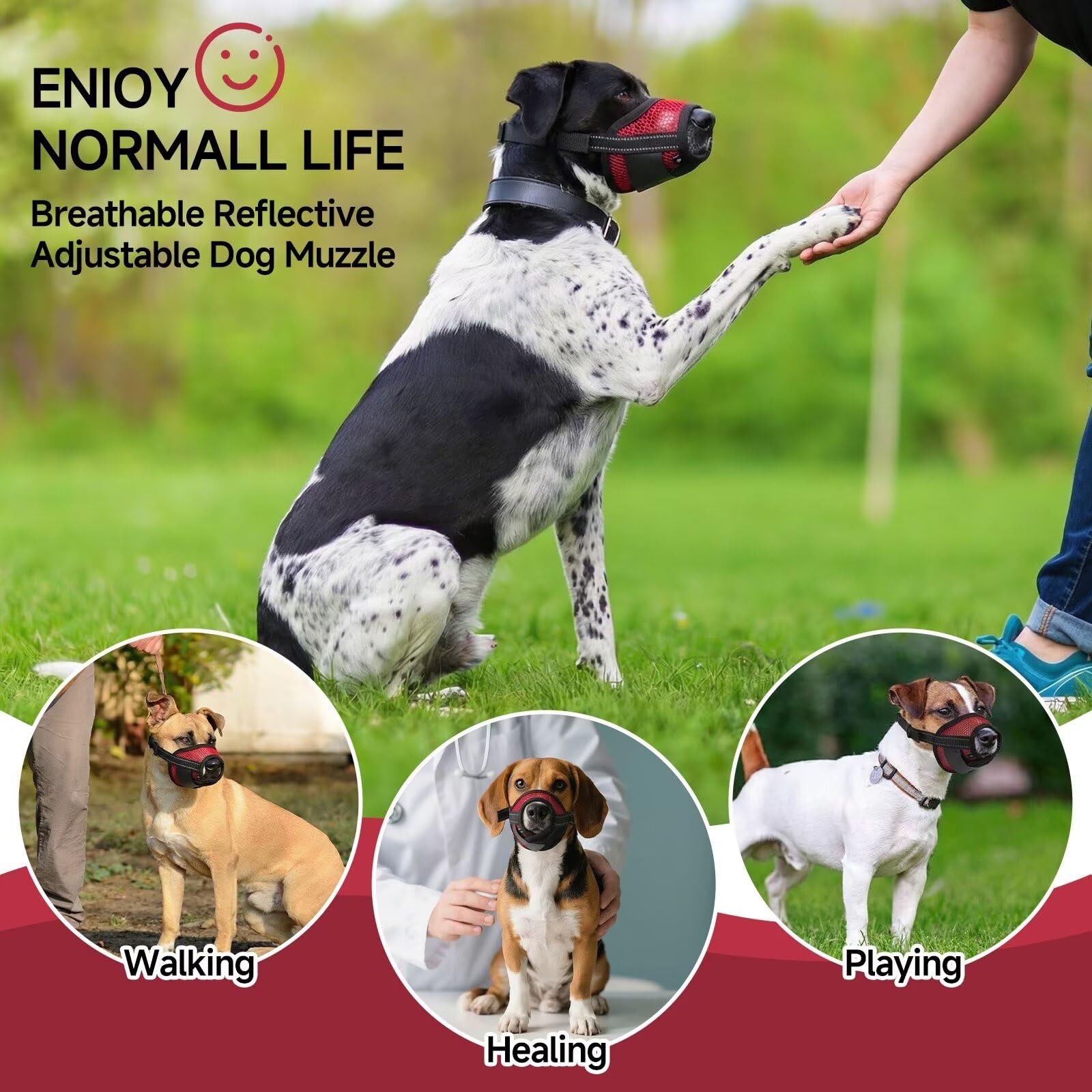Dog Muzzle,2 Pack Soft Mesh Muzzle for Small Medium Large Dogs for Scavenging...