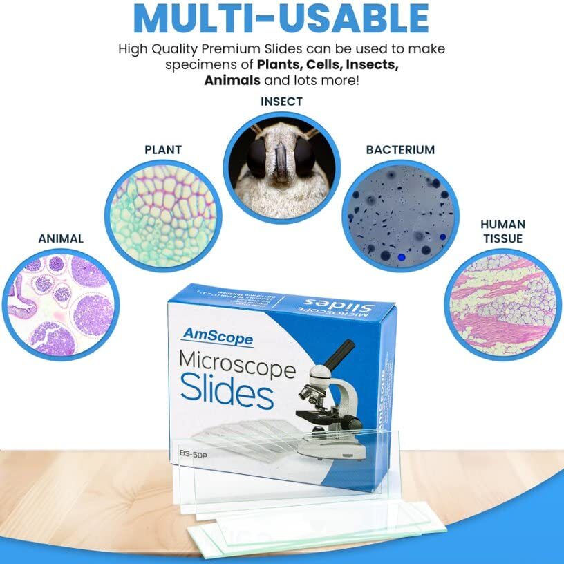 50 Blank Glass Microscope Slides & 100 Cover Slips for Experiments and Analysis