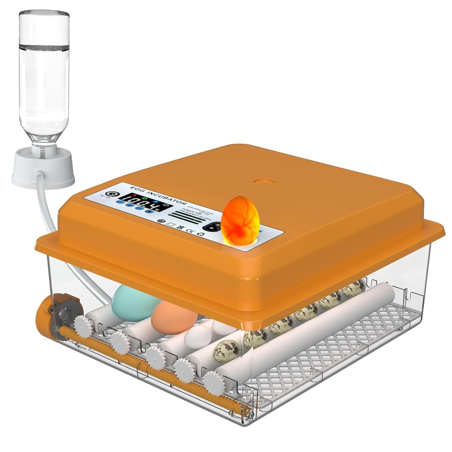 Incubadora de huevos, incubadora de 12 - 16 huevos con giro automático de huevos