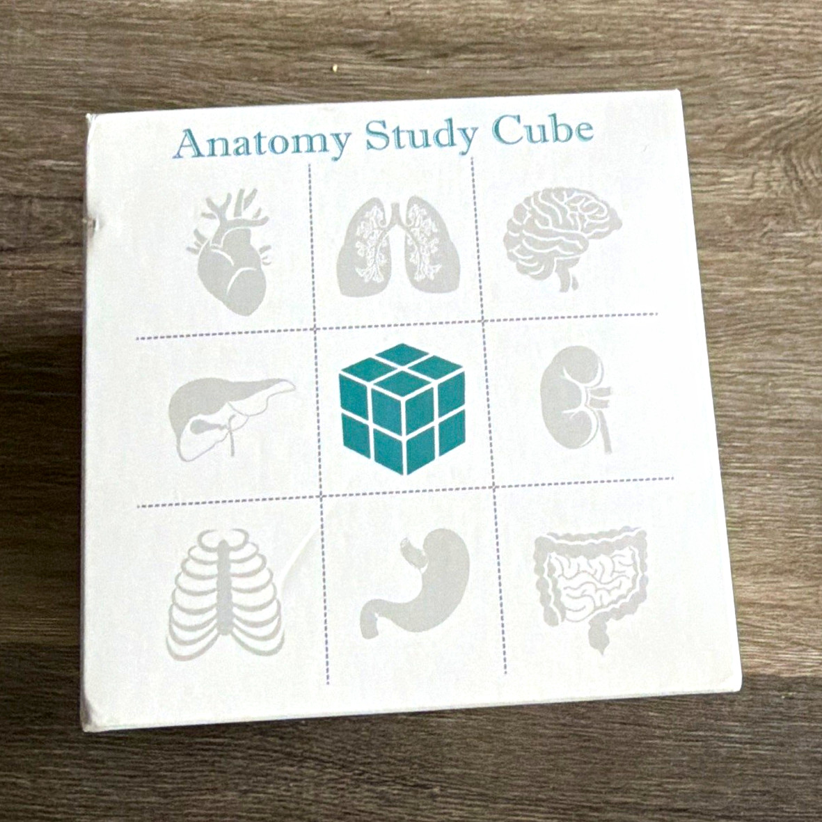 Anatomy Study Cube Educational Foldout Charts - Brain, Heart, Circulatory