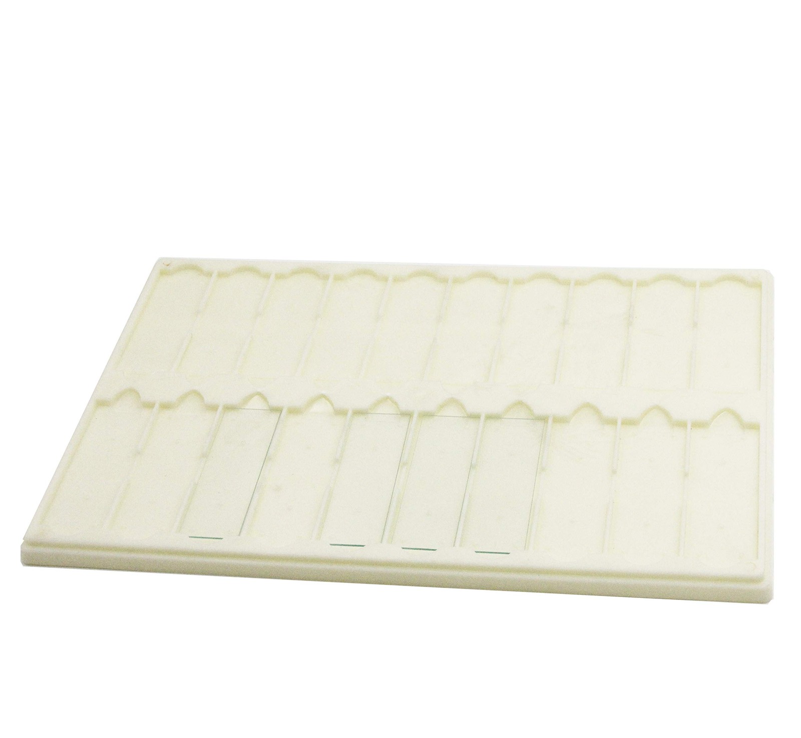 Plastic Microscope Slide Tray; 20 Capacity, Pack Green, Orange, Blue, White