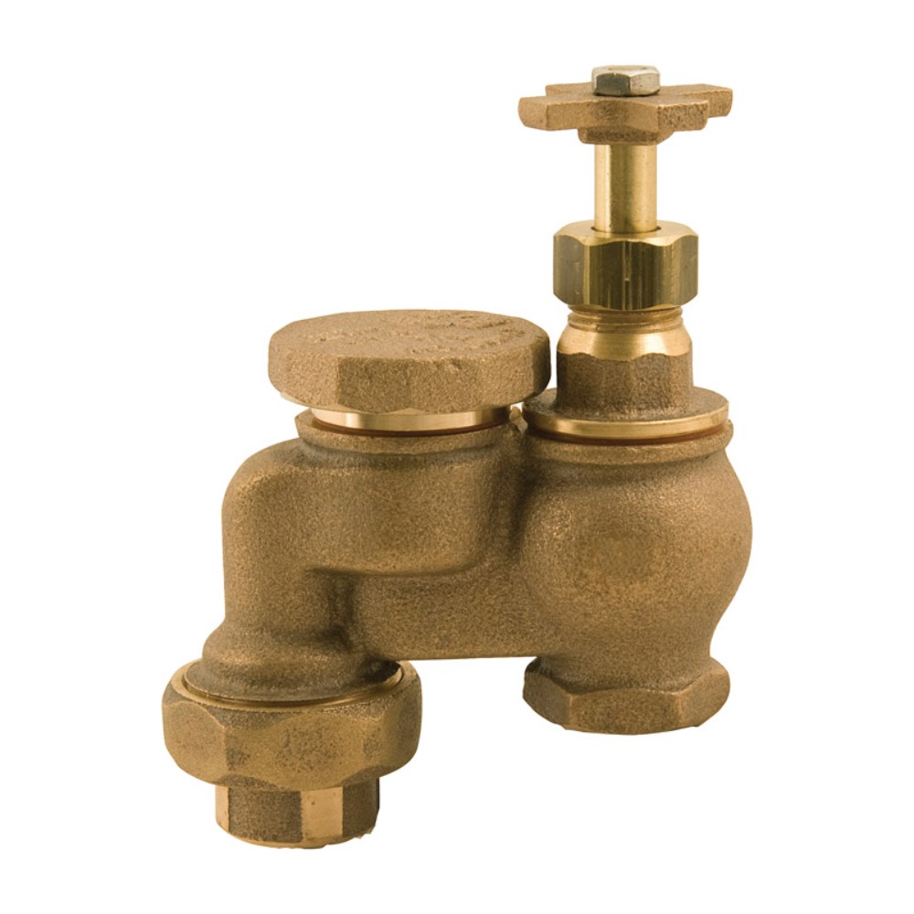 Champion Anti Siphon Valve 3/4 in 150 PSI (Pack of 4)