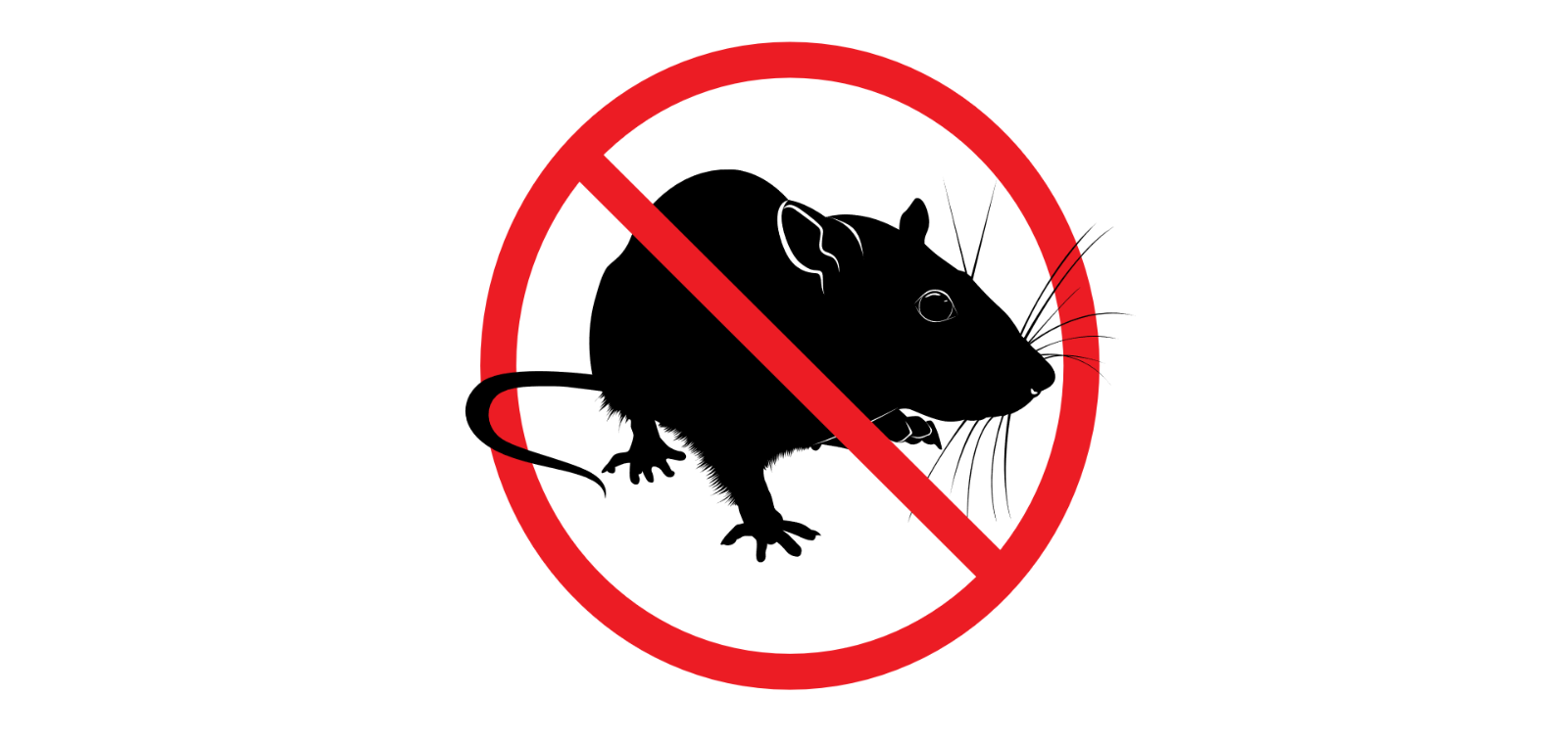 Mice Repeller | Electronic Rat Repeller | ET II Repels Rodents Fast!