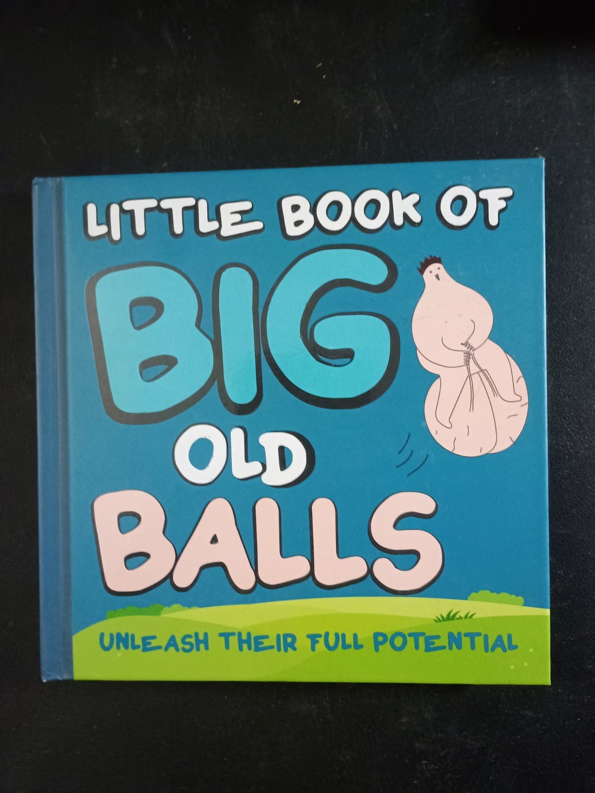 Little Book of Big Old Balls - Hysterical Gag Joke Adult Fun Party Gift