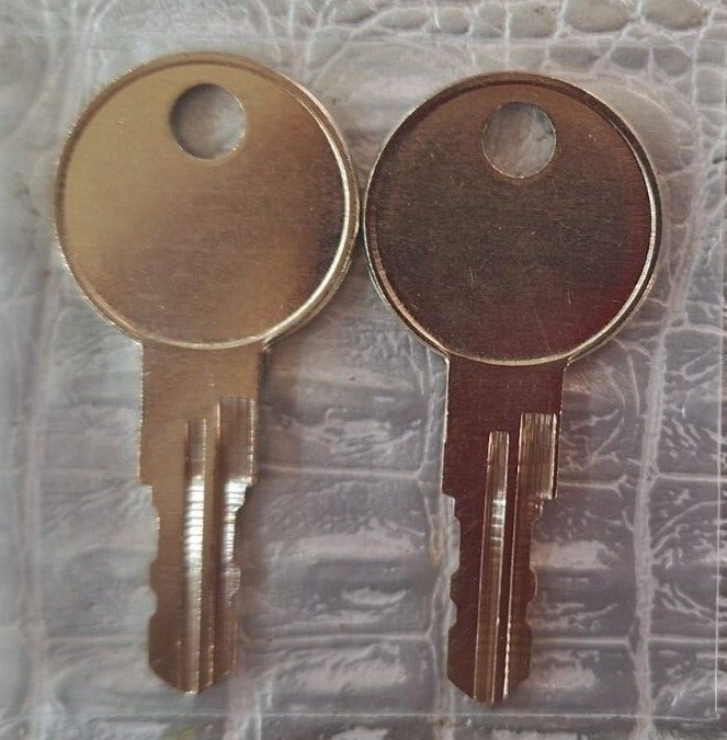 A00-A24 Two keys for DeWalt Tool Box Home Depot Toolbox Key cut to code A00-A24