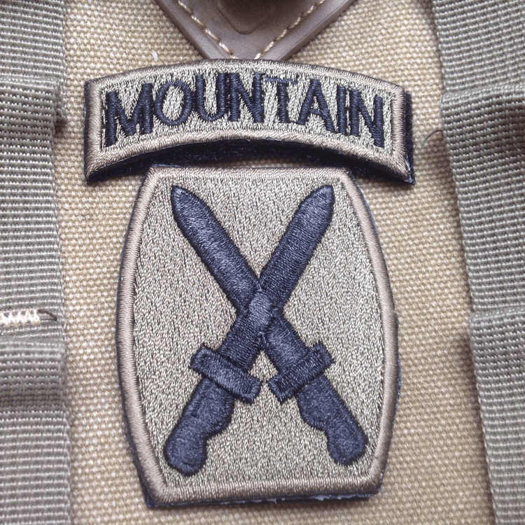USA 10TH MOUNTAIN DIVISION U.S ARMY Embroidered Hook & Loop PATCH