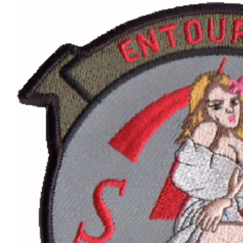 1st SOS Special Operations Squadron Patch SD Goose 39