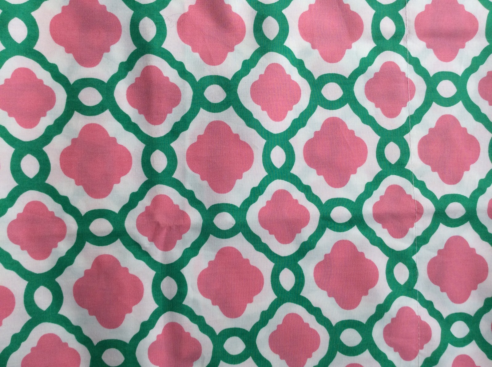 Standard Pillowcase~ Trellis Splash~ PBteen Pottery Barn Kids~ New