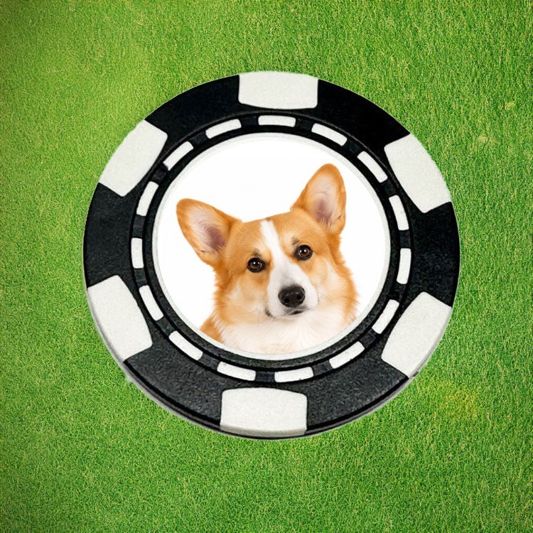 Red White Pembroke Welsh Corgi Dog Poker Chip Golf Ball Marker Card Guard