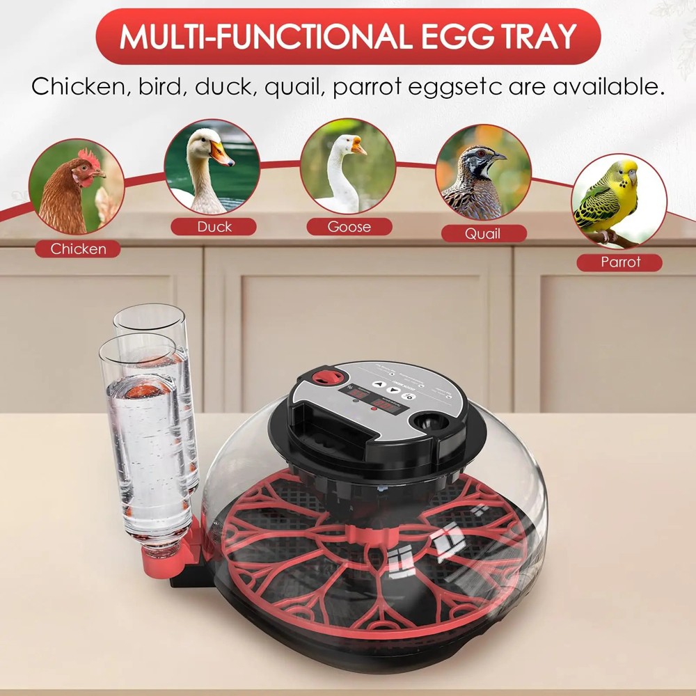 12 Egg Automatic Turning Chicken Hatcher Incubators Stable Temperature Incubator