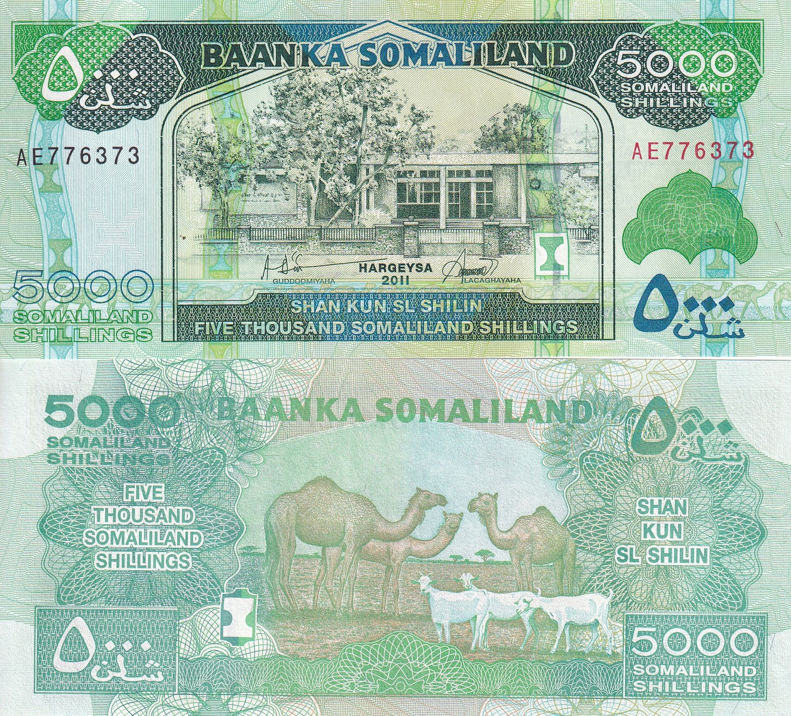 Somaliland 5000 Shillings 2011 P 21 a UNC