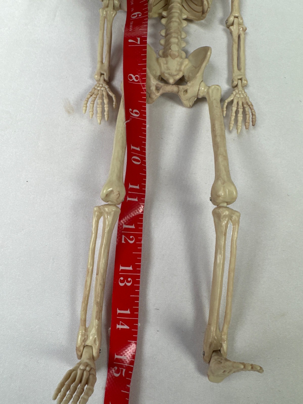 16" Poseable Plastic Skeleton Decoration, Movable Joints, Hanging Loop