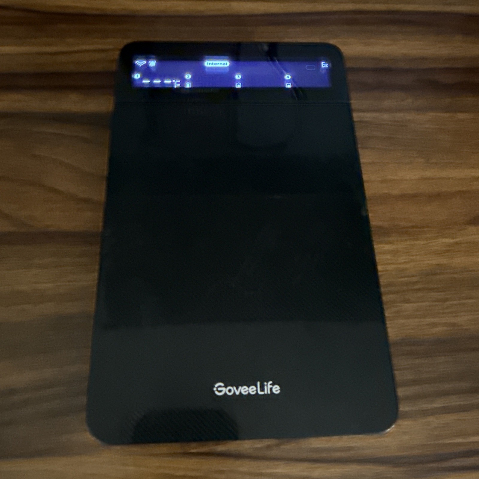 Govee Life Smart App Wireless Meat Thermometer 4-Probe Rechargeable Temp Alarm