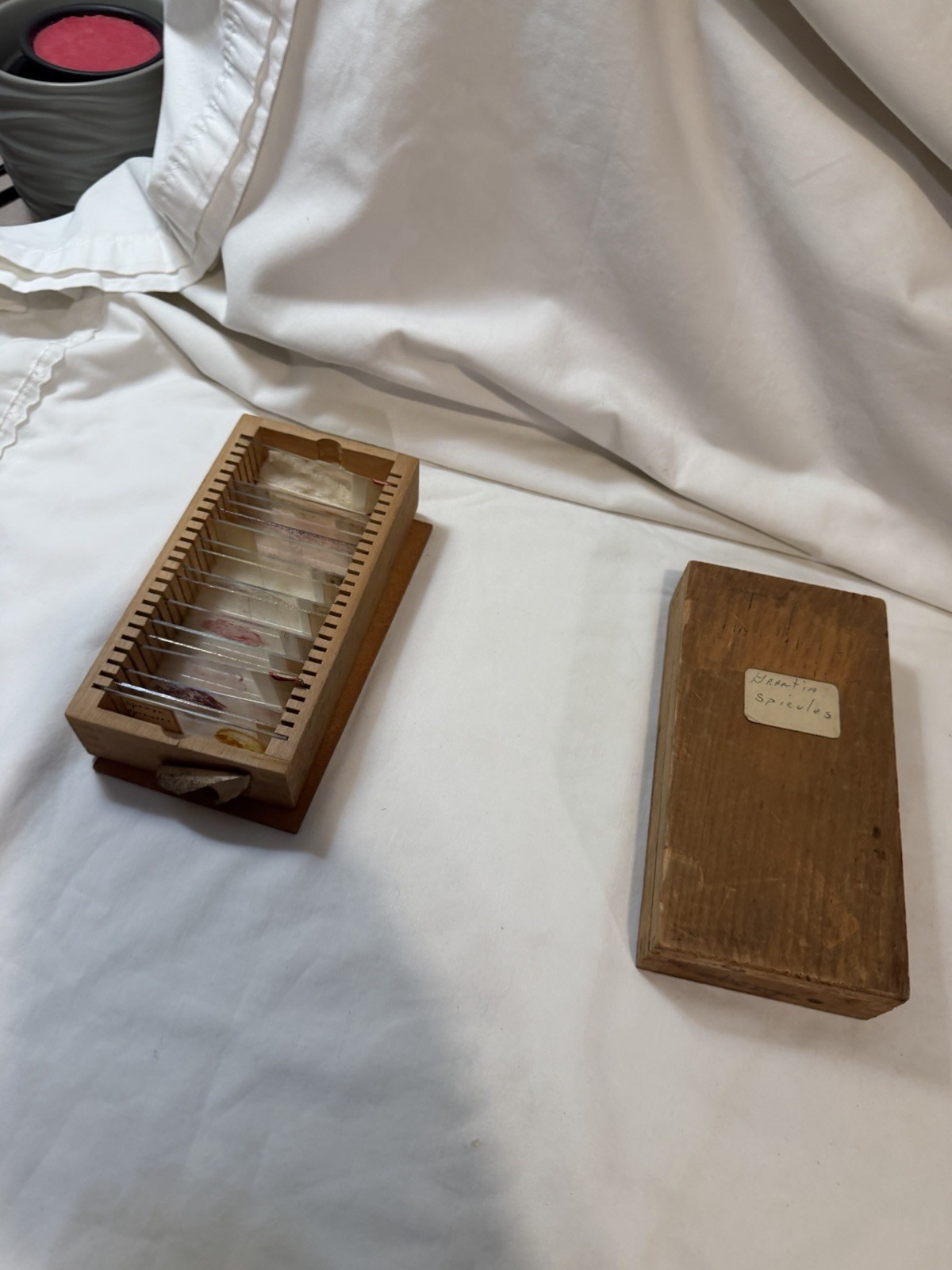 Vintage Microscope Medical Lab Slides