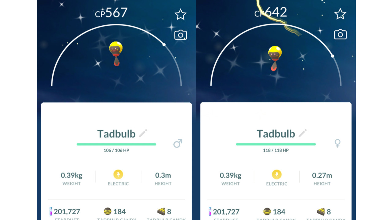 ✨Shiny Tadbulb (Dazzling Blipp) Pokemon GO✨ Exchange or PTC