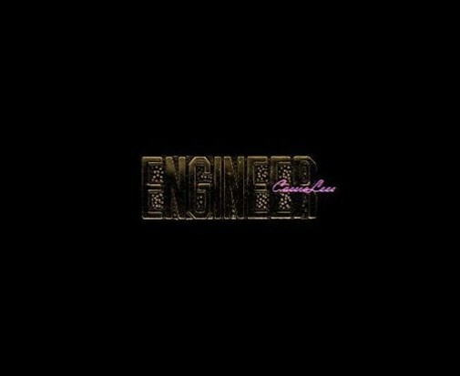 VN ENGINEER + a custom promo pin