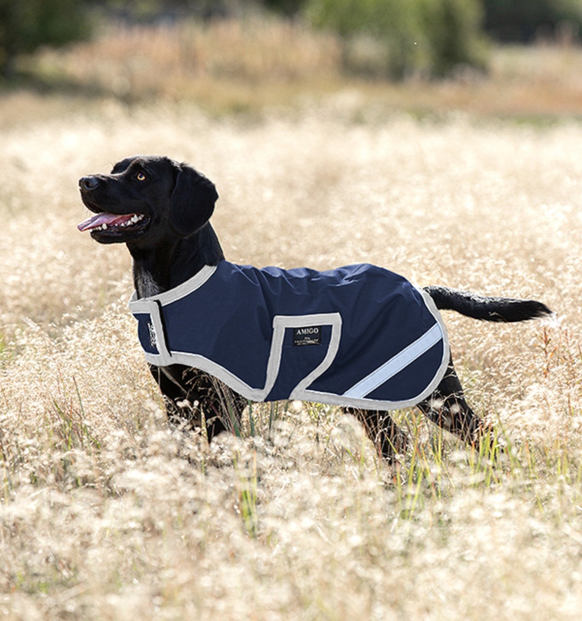 Amigo® Ripstop Waterproof Dog Blanket