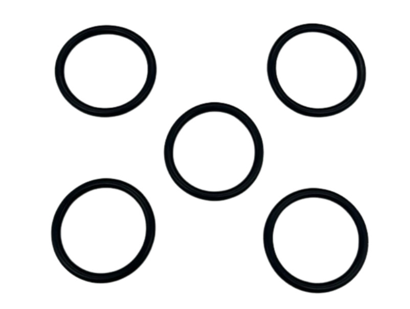 Badger Pressurized Water Fire Extinguisher Collar O-RINGS (5 Pack)