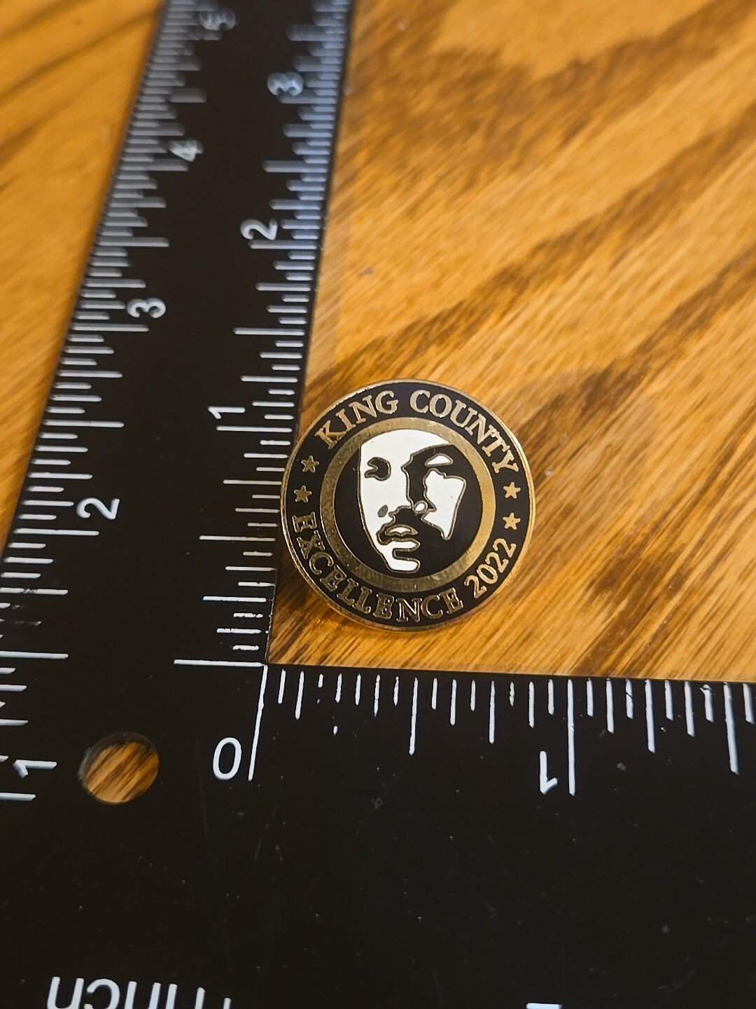 Kings County Excellence Martin Luther King Jr Image Pin K8