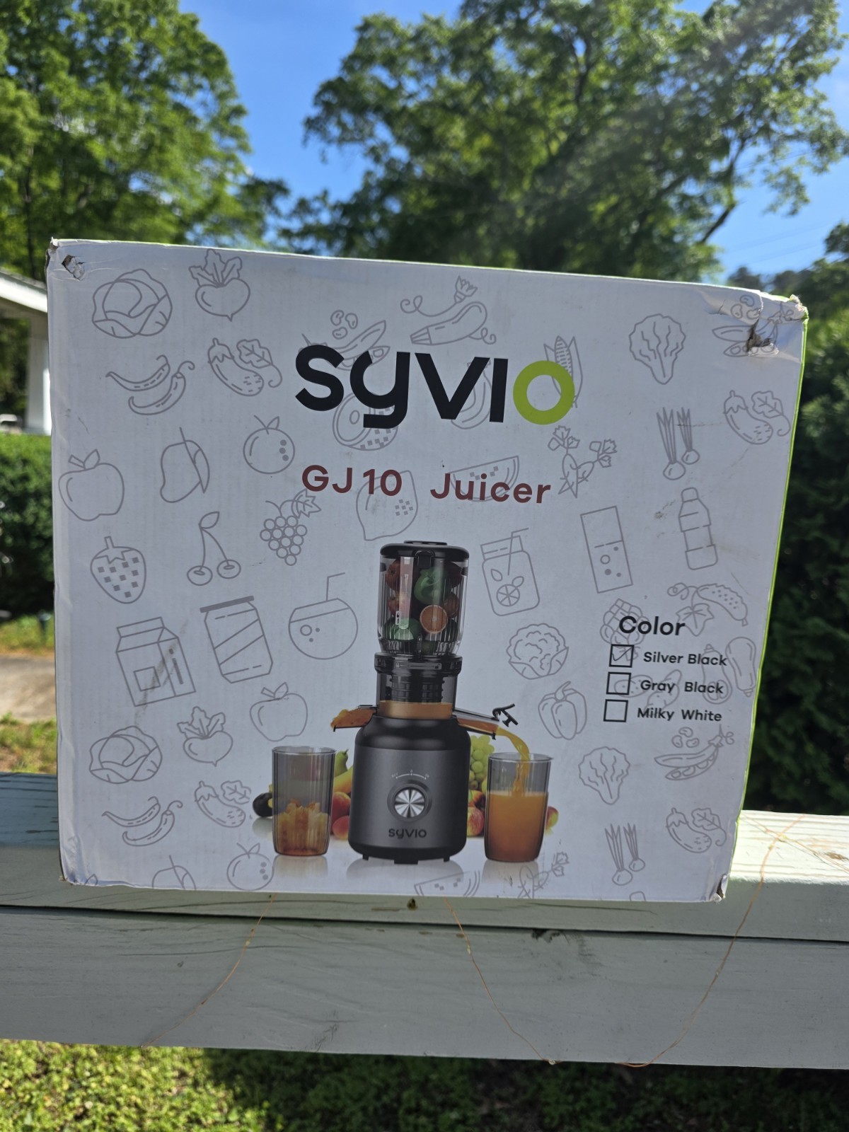 Syvio MP-802E Cold Press Juicer, Juicer Machine with 4.3" Feed Chute Black