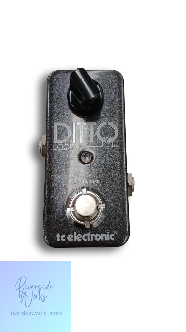 TC ELECTRONIC Ditto Looper Pedal