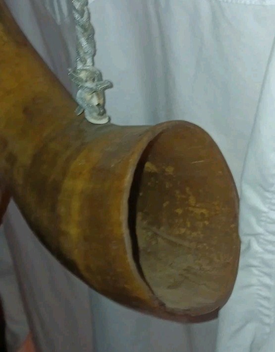 Antique Powder Horn