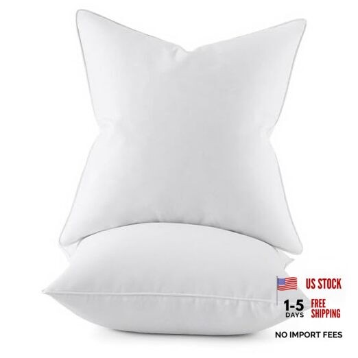 4x4 Euro Pillow Inserts, Pack of Down Feather Premium 24x24 Inch (Pack of 2) 2