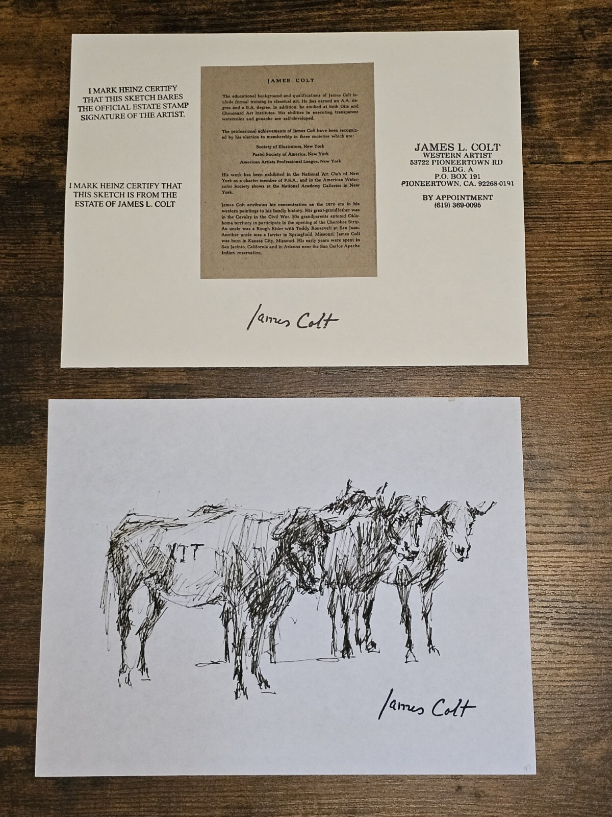James Colt Western Cowboys Sketching Steer (214)