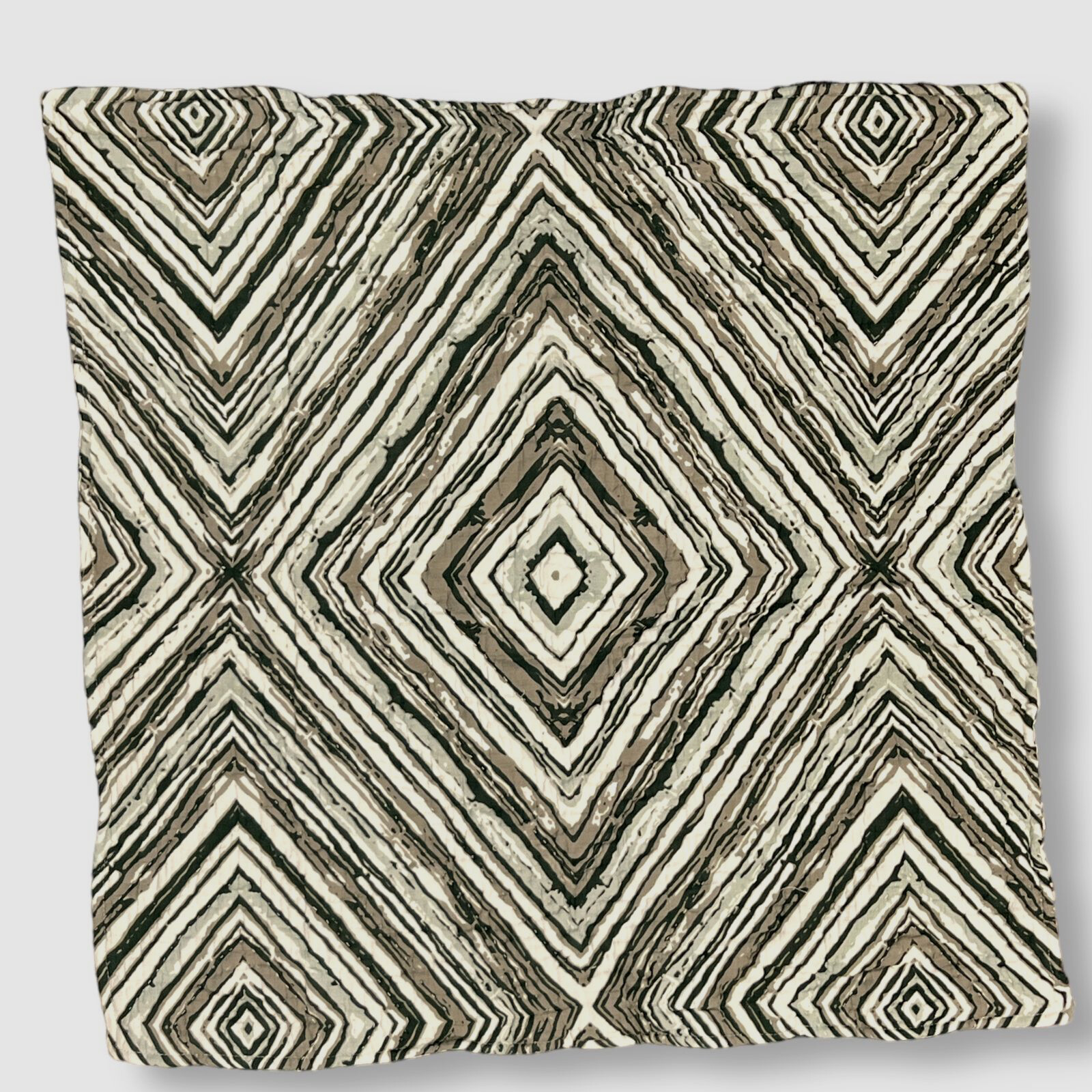 $97 Amity Home Green Kingston Decorative European Cotton Sham 26"Sq