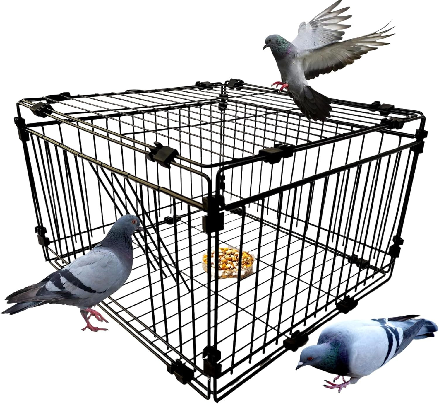 Bird Trap Cage Pigeon Quail Chicken Outdoor Trapping Live Small Bird Trap