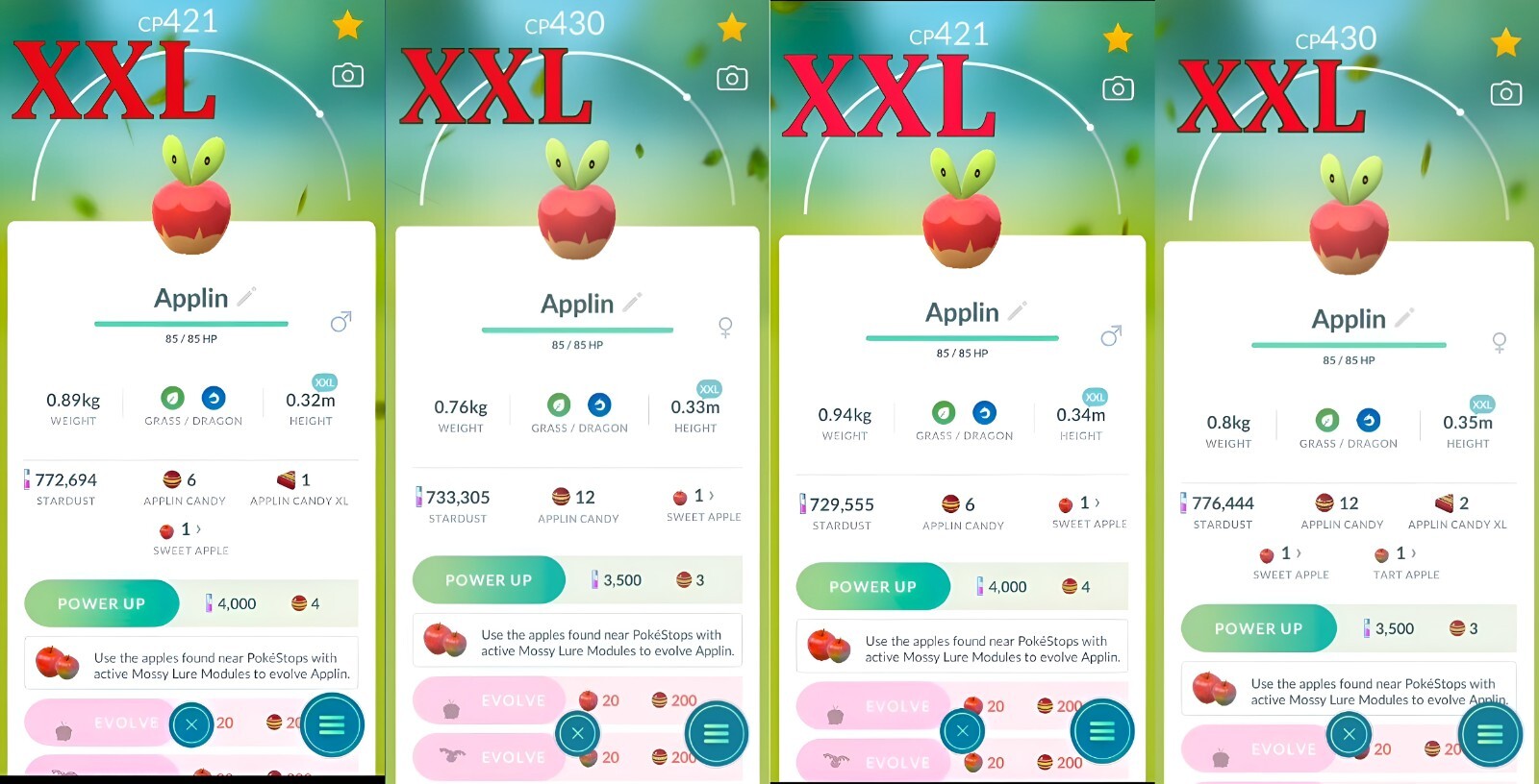 Applin XXL + 0.32 - 0.35 m | For exhibitions | Tr-de Go✨