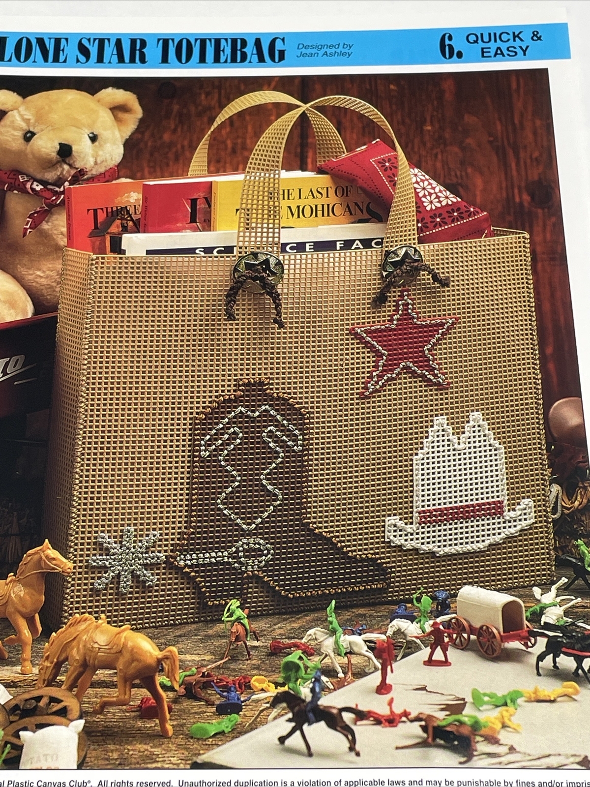 Lone Star Totebag Annie's Attic Plastic Canvas Pattern