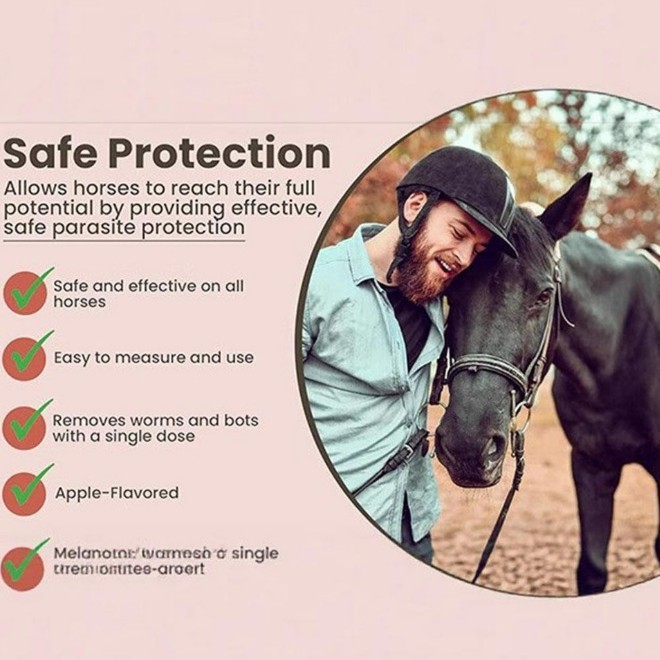 Horse Gut Health Maintenance - Apple Flavor Paste, 6 Syringes, 1/2028