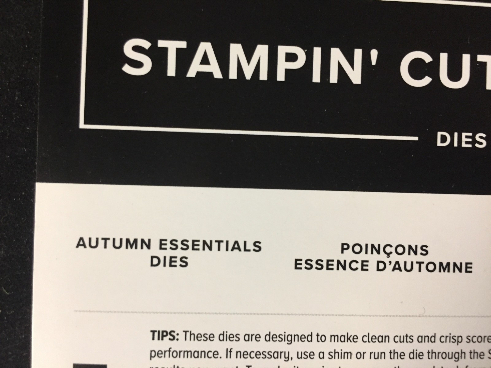 Stampin' Up! AUTUMN ESSENTIALS Dies #4852