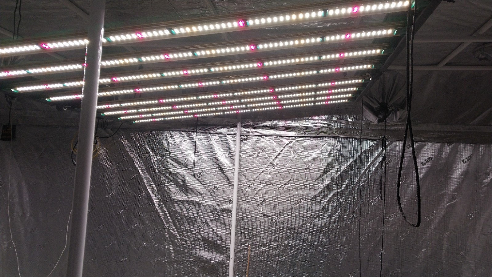 Gorilla 10'x10' Grow Tent with Height Extension Extras, Lights, Watering System