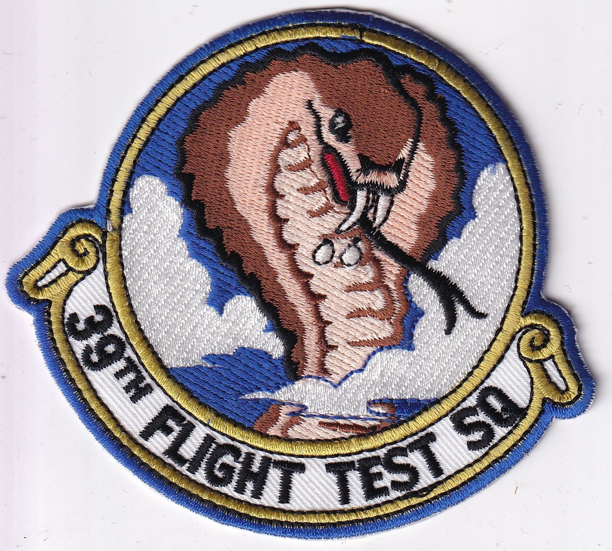 39th Test Squadron cut edge waxback black letter color version USAF US Air Force